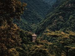-午潮山国家森林公园