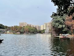 -荔湾湖公园