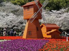 -苏州上方山国家森林公园