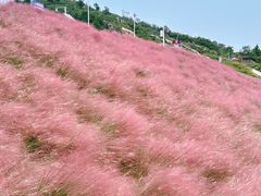 -沂蒙云瀑洞天景区