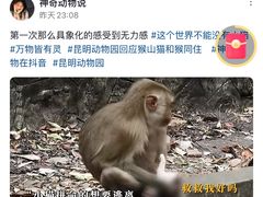 -昆明动物园