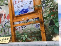 -嘉和K6温泉微度假