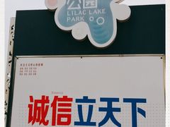 -丁香湖公园