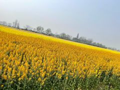 -中国天府农业博览园