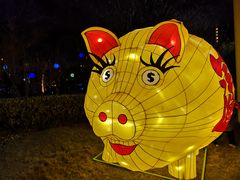 -锦江乐园舞狸花花游园会(夜场专享)