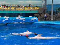 -海合安成都极地海洋公园