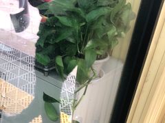 -Quantum量子膜(美即汽车贴膜店)
