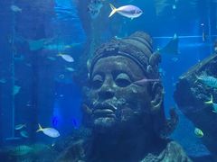 -暹罗海洋世界
