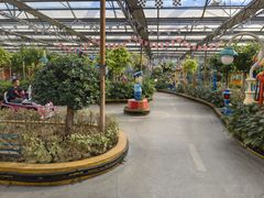 -南宫五洲植物乐园