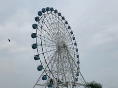 -秦皇岛乐岛海洋王国