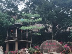 -七仙岭温泉国家森林公园