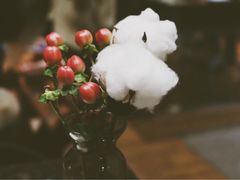-Seesaw Coffee(环贸iapm店)
