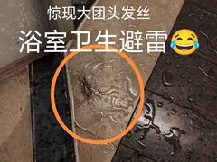 -南桥绿地铂骊酒店