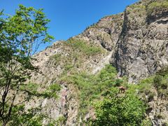 -圣莲山风景区