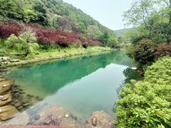 -桃花岭景区