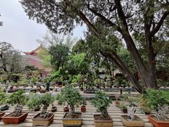 -北京市劳动人民文化宫(太庙)