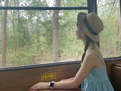 -合肥滨湖国家森林公园