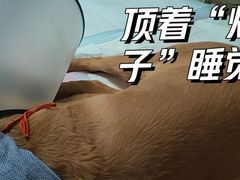 -瑞派长江宠物医院·猫科·外科·24小时夜护(谊城公寓分院)