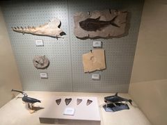 -辽宁古生物博物馆