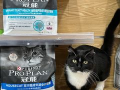 -帕帕拉兹宠物(亚洲旗舰店)