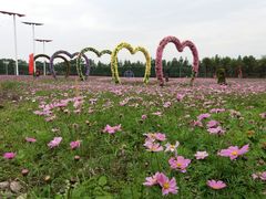 -万顷园艺世界