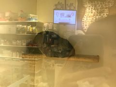 -龙猫仔乐园(惠福东路店)