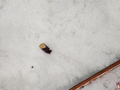 -长沙湘江欢乐雪域