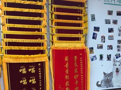 -瑞派中心宠物医院·CT·核磁·神经专科