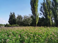 -国家植物园南园