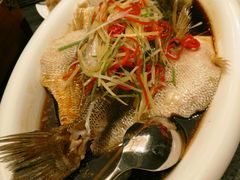 -东哥紫阳蒸盆子(旺座·现代城店)