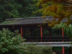 -重庆彩云湖湿地公园