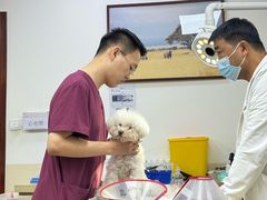 -美联众合动物医院·24h转诊中心