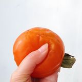 露露 ㊗️ 大家柿柿如意