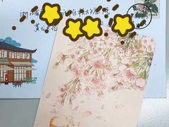 -猫的天空之城概念书店(丽江古城饮玉巷店)