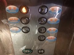 -洪湖悦兮半岛国际温泉度假村