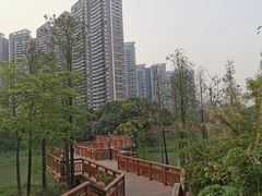 -广东花都湖国家湿地公园
