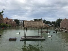 -芽庄珍珠岛游乐园