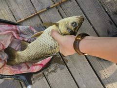 -酷鱼垂钓CLUB(朝阳区博大路店 )