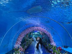-福州欧乐堡水上乐园