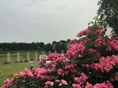 -武汉紫薇都市田园