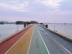 -贡湖湾湿地公园