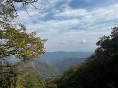 -栾川竹海野生动物园