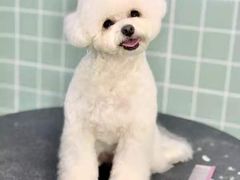 -哈尼爱宠·宠物生活会馆