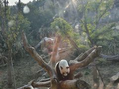 -宁波野生动物园