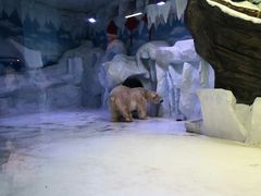 -芜湖新华联大白鲸海洋公园