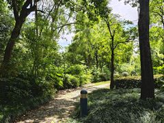 -新虹桥中心花园