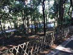 -华南国家植物园-售票处