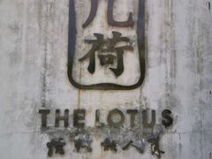 -几荷·恰似故人来(秀水广场店)