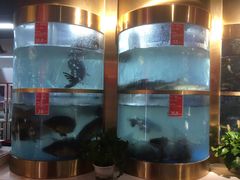 -蜀滋香鲜鱼美蛙火锅(339店)