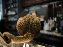 -咖法森林·咖啡  酒吧(天河店)